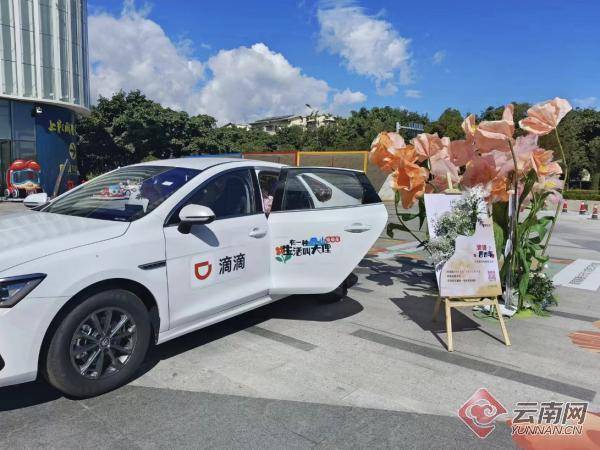 大理滴滴打车引领智能出行革新,畅享新时代智能出行体验