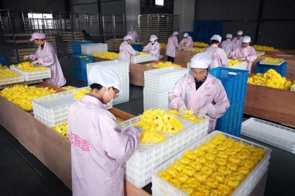 洛阳工程机械协会的职责 第339页