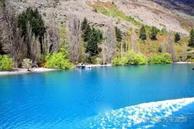 美食大明星席卷全球的美食风暴！✨