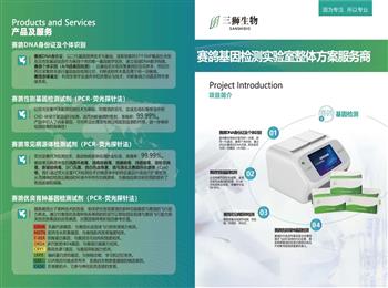 第529页