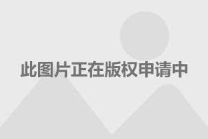 襄阳成工工程机械 第86页