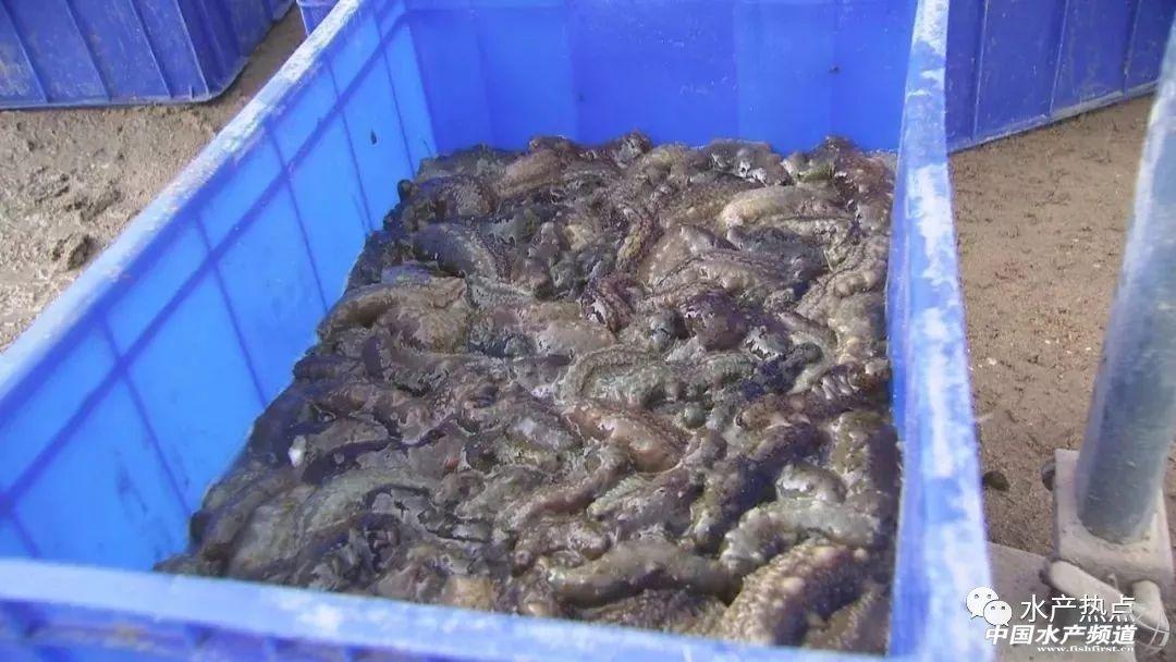 洛阳工程机械协会的职责 第49页