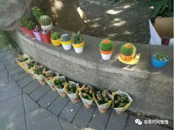 工程机械设备价格 第42页