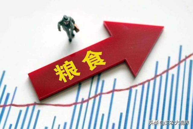洛阳工程机械协会的职责 第35页