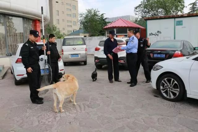 恶犬最新牛仔，宝藏小店的神秘之旅